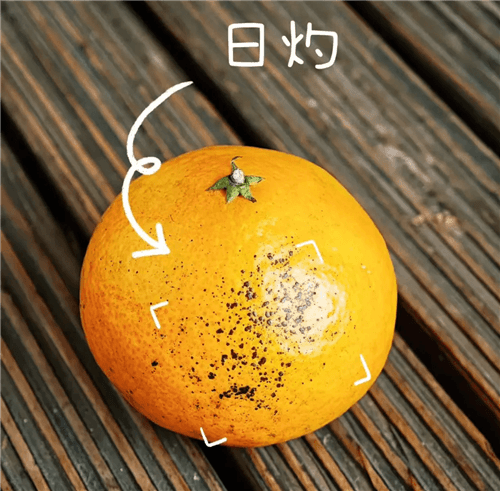 永劫无间3