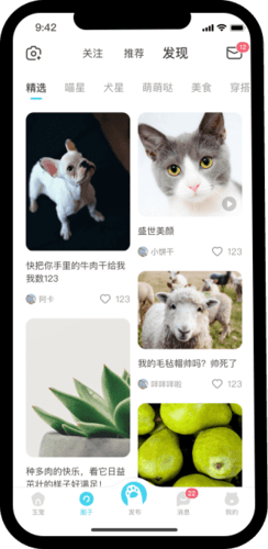 星玉宠软件宣传图
