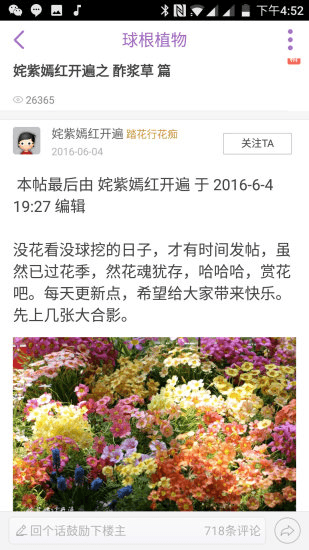 踏花行图片