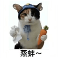 蒸蚌管家最新版下载_蒸蚌管家电视版下载 v2.0.01TV版
