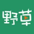 野草视频app