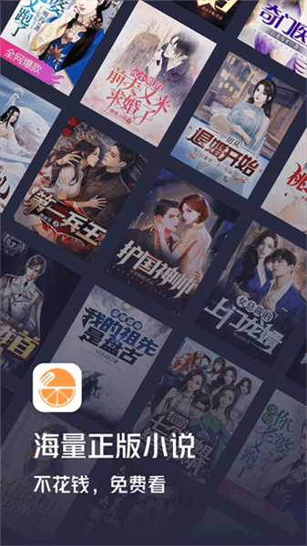 青橙小说宣传图