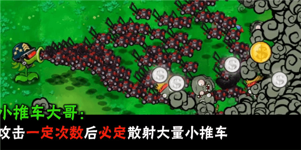 植物介绍配图7