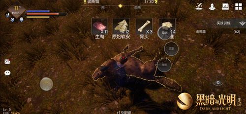 黑暗与光明2