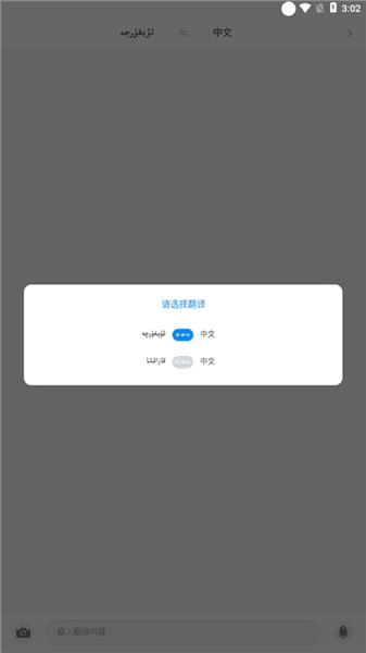 怎么翻译配图5