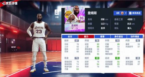 nba巅峰对决谷歌官方版图片19