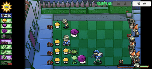pvzbt1