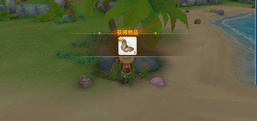 如何捕虫配图4