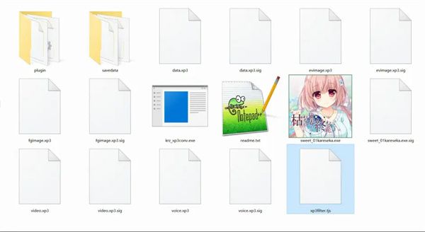 krkr2模拟器1.3.9最新版截图13