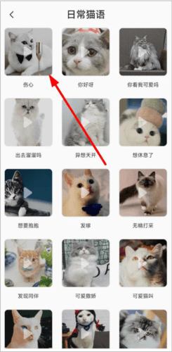 猫语翻译机免费版3