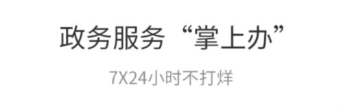 泉州政务服务软件宣传图2