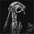 SARCOPH破解版下载_SARCOPH去广告版下载 v2.52最新版