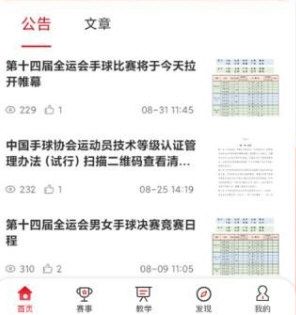 全手球4