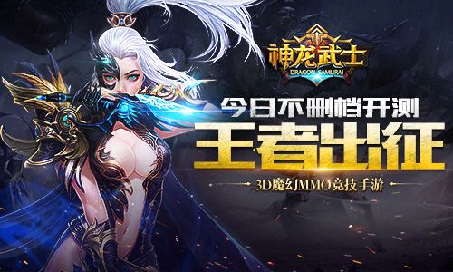 神龙武士宣传图6