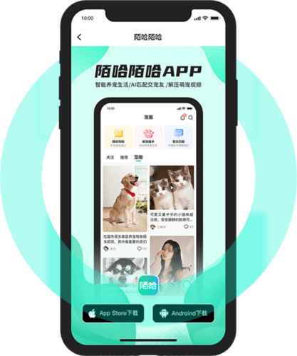 陌哈陌哈app